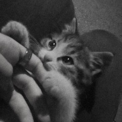 …❤️