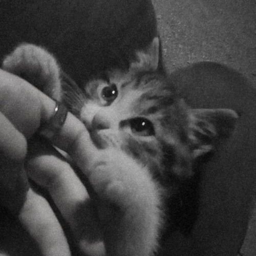 …❤️