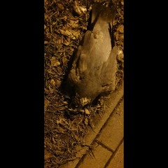 Eingeschissen - (Koka,Schore,Dr.Dot).mp3