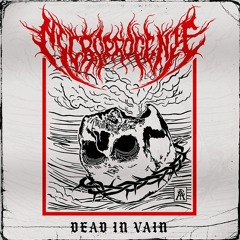 Dead in Vain (The Pact of Blood)