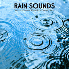 Rain Sounds Ambience for Meditation, Relaxation, Massage, Yoga, Tai Chi, Reiki, Sleep Music, Baby Sleep and Relaxing Ambient Soundscapes