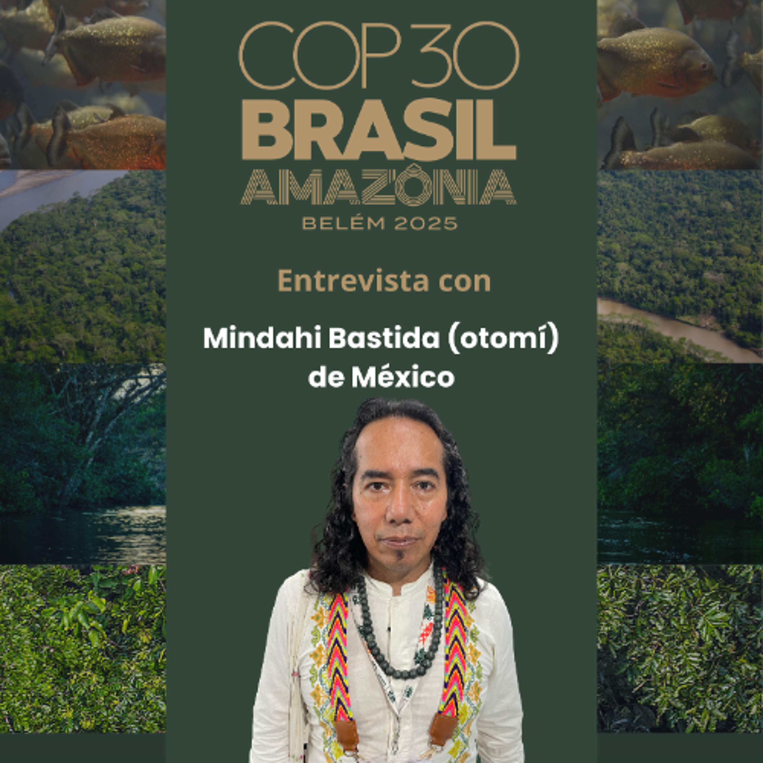 COP30 - Exigencias de los Pueblos Indígenas - Mindahi Bastida
