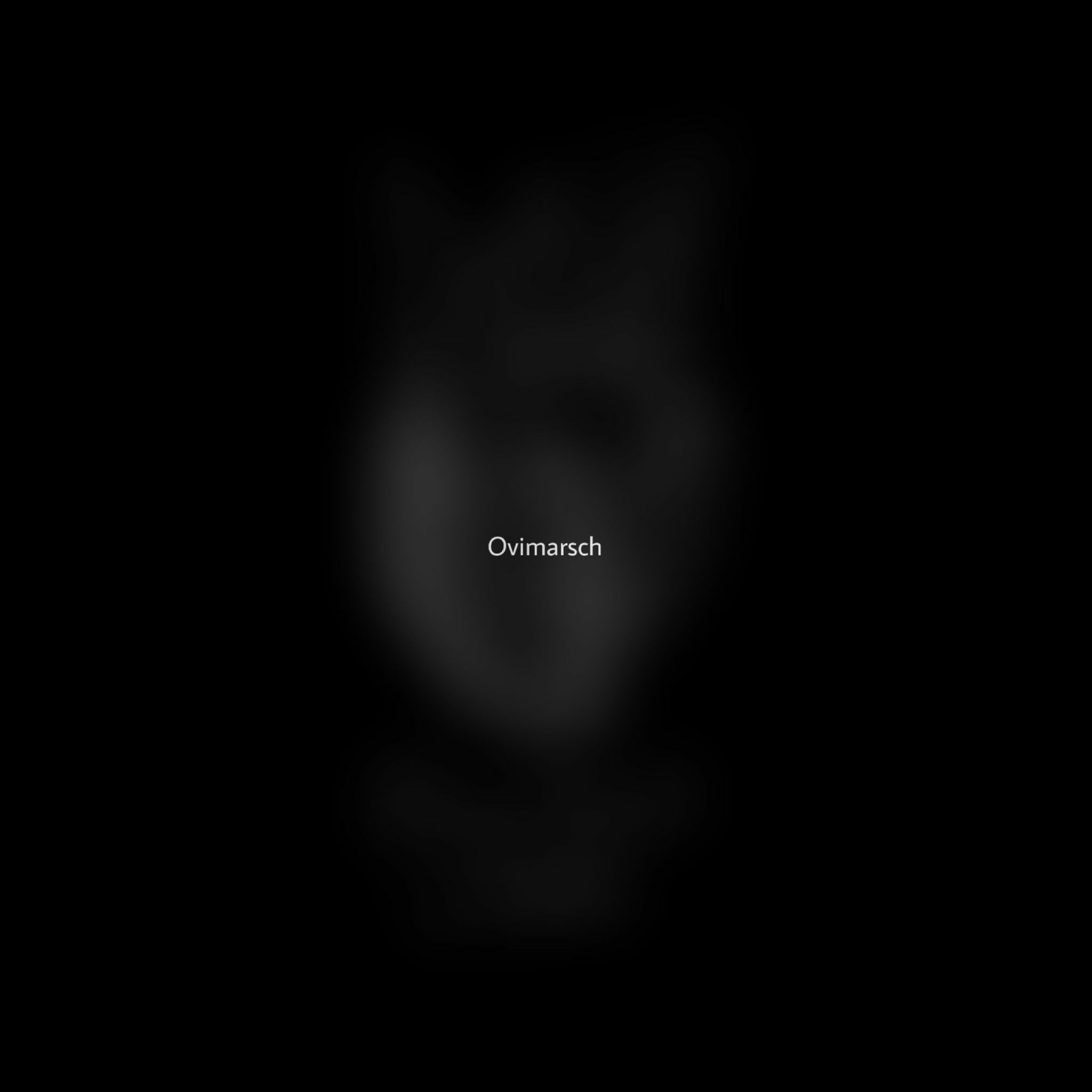 Ovimarsch