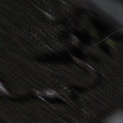 hey w/ Luxx [prod. everestdidthis]