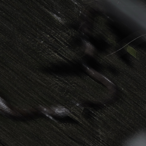 hey w/ Luxx [prod. everestdidthis]