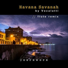 Havana Savanah by Vocalatti // flute remix
