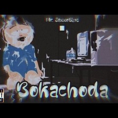 Bokachoda