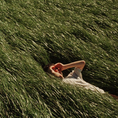 I want to lay in the grass (next to you)