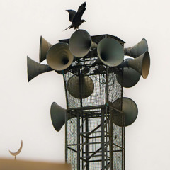 As The Crow Sounds (427)