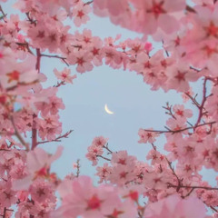 Spring ( Hermanos Guiterrez- Dark Enzo Remix)