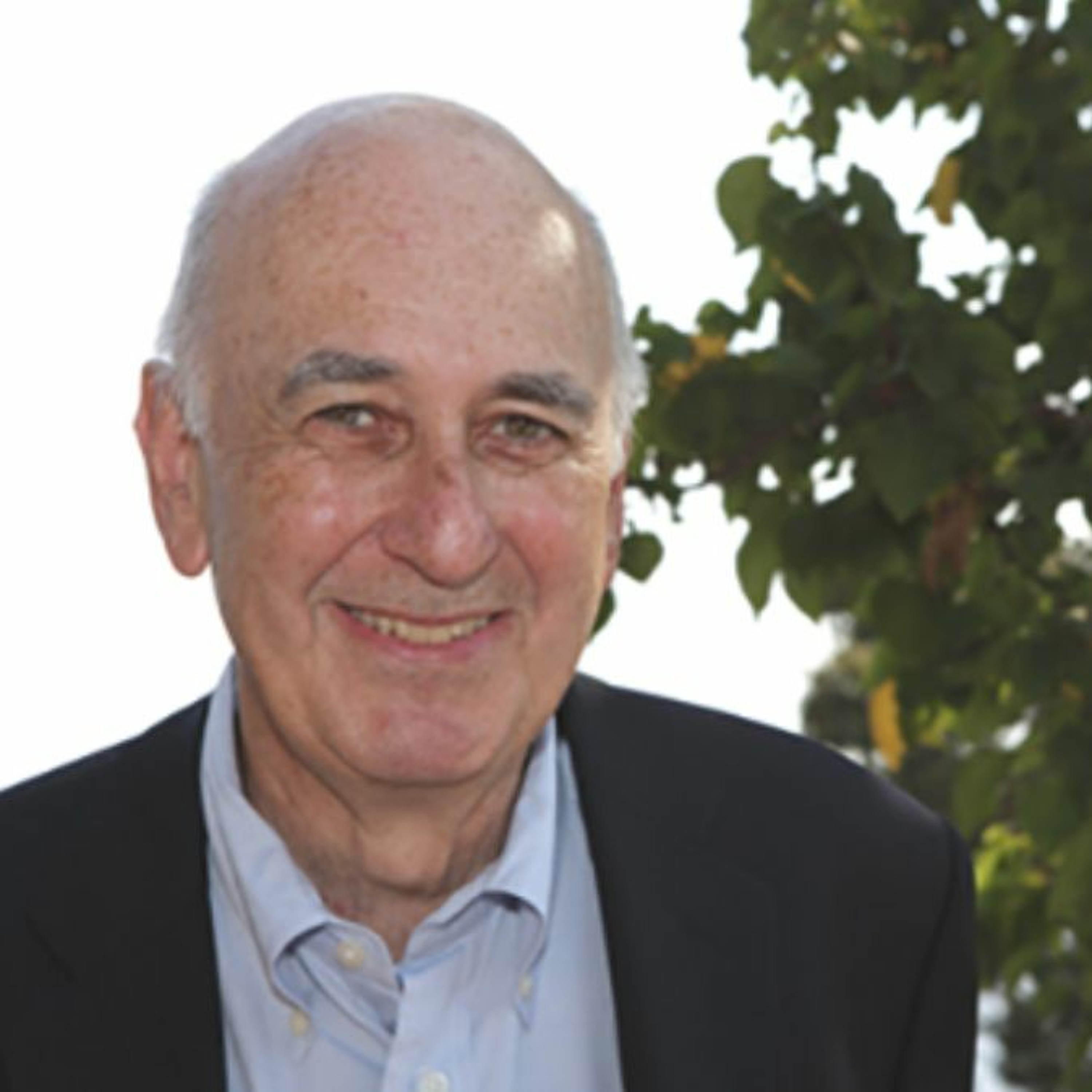 Phillip Lopate on The Golden Age of the American Essay: 1945-1970