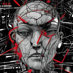 P.E.U - Looking (Original Mix)160Kbps
