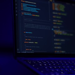 I Don't Kill Spiders. Because I Can't Harm Web Developers.