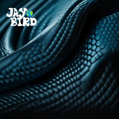 JAY BIRD "Fly" Essential Mix 2023