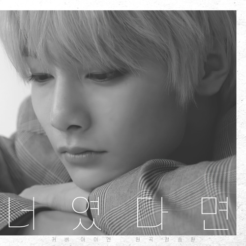 너였다면 Cover (원곡：정승환) - I.N [SKZ - RECORD]