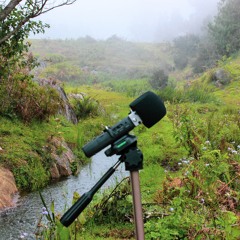 The Öbjektz - Alive