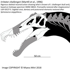 Irritator