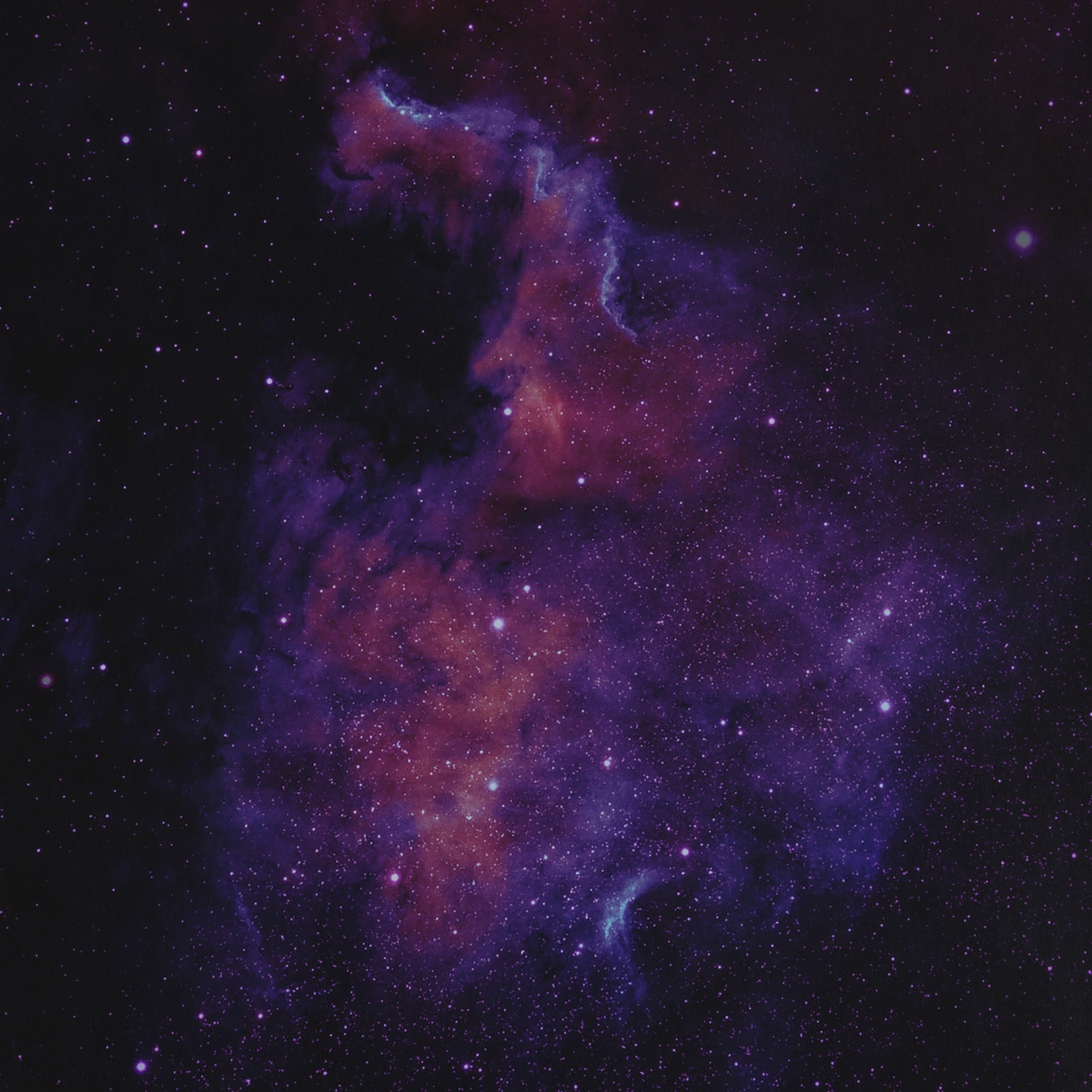 Spatial Dislocation – Panspermia episode artwork