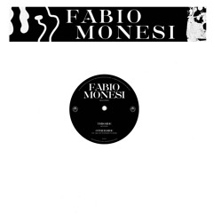 PREMIERE: Fabio Monesi - Devotion [Wilson Records]