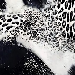 goyrds gone ‎ ‎ ‎ ‎ ‎ ‎ ‎ ‎ ‎ ‎ ‎ ‎ sorcery mvtthww