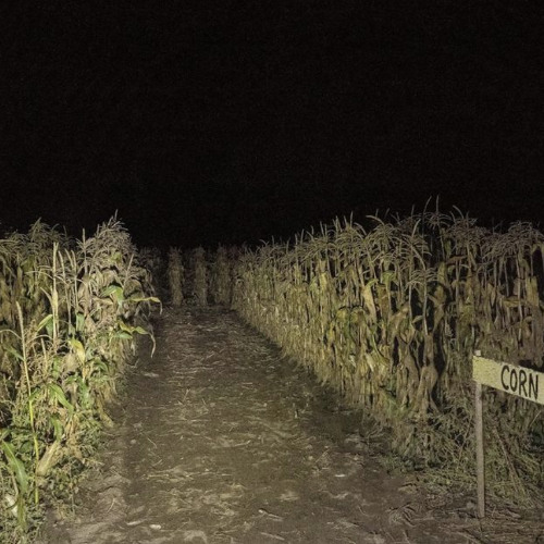 maze