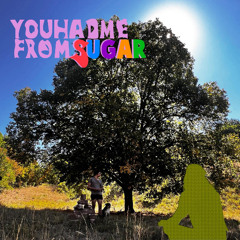 you had me from sugar (feat. Musique Chienne)