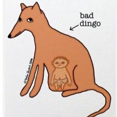 Archive_Roughcuts - Down The Dingo