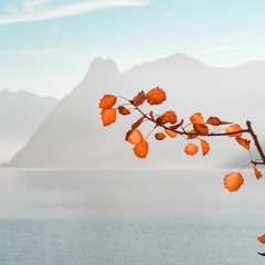 Autumn, Beginning (Something slow)