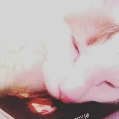 To grizo gati (22.01.2021 Marietta's edit)