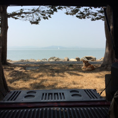 So Long, Ed! - Brothers in the Apocalypse (live recording)