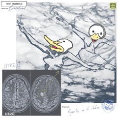 Pajaritos en La Cabeza (Kekoriy, Belkkk Remix)