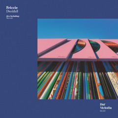 Friccie - Skyward [Bar Melodia]