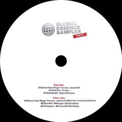Barce ft. Roger Versey - Jazztroit (Melchior Sultana Remix)