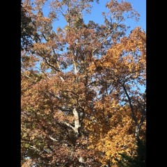 Getting Better/ Bounce It Prod. ER!CK