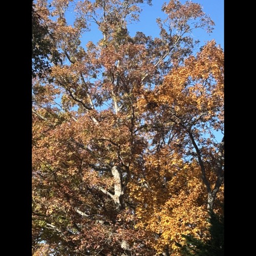 Getting Better/ Bounce It Prod. ER!CK