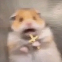 🩻🤺    Gym playlist. noices > lyrics