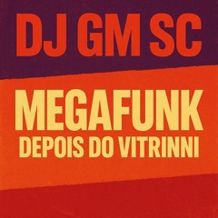 MEGAFUNK DEPOIS DO VITRINNI