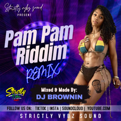 PAM PAM RIDDIM "REMIXES" MIXED & MADE BY DJ BROWNIN