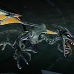 new year 2k24 beatts lockk