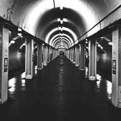 Doig - UNDERGROUND