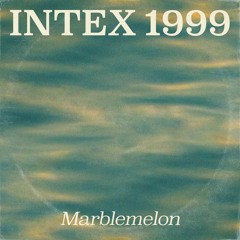 Intex 1999