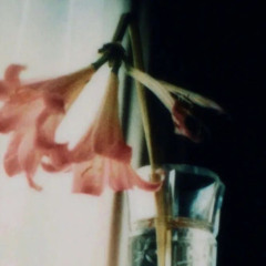 lucky charm subliminal┊school ambiance┊500+ affs