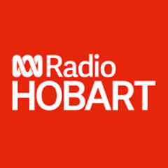 Meg Webb discusses her Successful Re-election ABC Mornings 26 May 2025