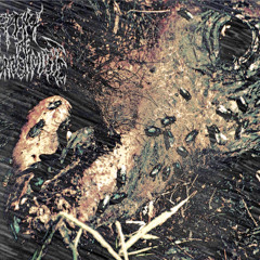 B.A.M.H.-Grinding the Gears of a Man Built Machine