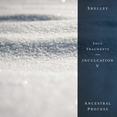 Shelley • Inculcation 05 - Podcast Series