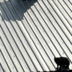 Copy of Related tracks: Stumbled