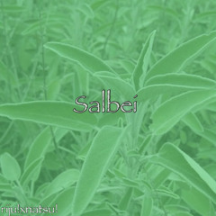salbei feat. Natsu! (prod.fallwinter2006)
