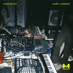 Juan Hansen - Irreplaceabale (MEIOSIS Records)