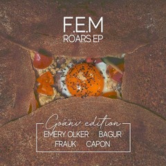 F.E.M - Roars(BAGUR rmx)