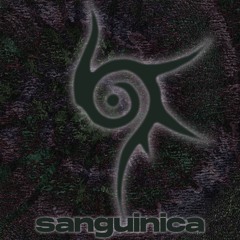 sanguinica  ✧ HEELIX at RSO.Berlin [10.04.25]